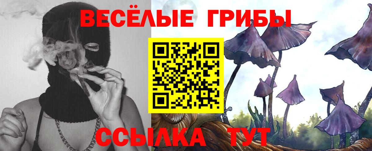 Галлюциногенные грибы Psilocybine cubensis  Вход с VPN  дарнет шоп  Нижний Тагил 